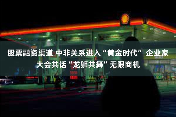 股票融资渠道 中非关系进入“黄金时代” 企业家大会共话“龙狮