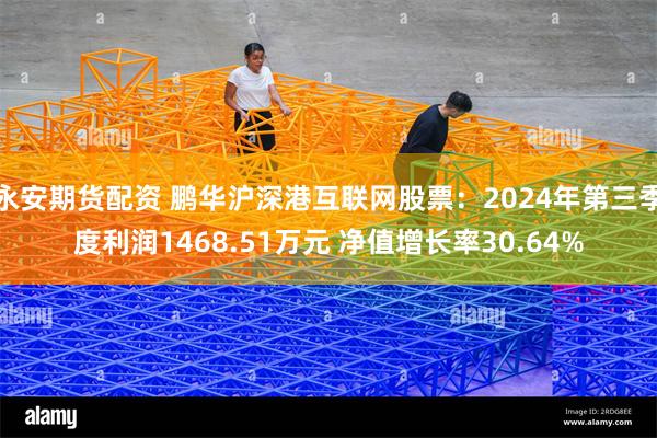 永安期货配资 鹏华沪深港互联网股票：2024年第三季度利润1