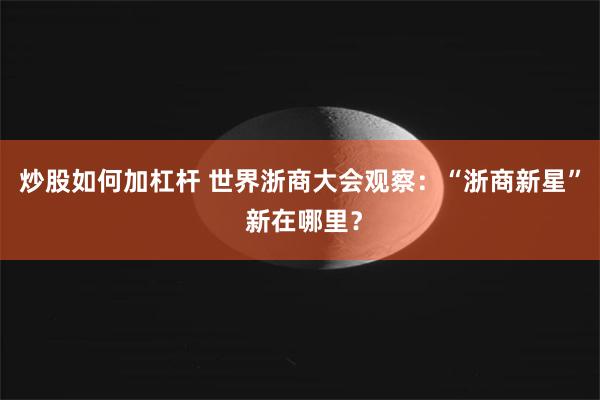 炒股如何加杠杆 世界浙商大会观察：“浙商新星” 新在哪里？